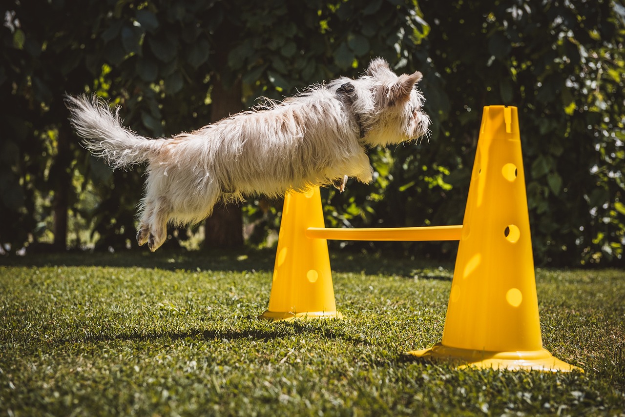 Delving Deep into the Confluence of Safety Measures and Human Behavior